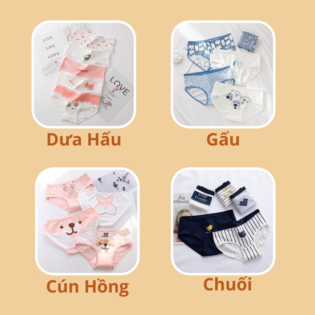 [Hàng Hot] SET 5 Quần Lót Cotton Cute Dễ Thương Chip Cạp Thấp Nâng Mông Thông Hơi TOPBRA