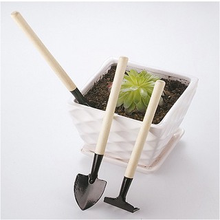 Bộ dụng cụ làm vườn mini