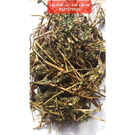 Cây mắc cỡ phơi khô 1kg