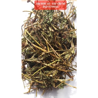 Cây mắc cỡ phơi khô 1kg