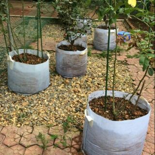 Túi vải trồng cây cỡ 20x20cm