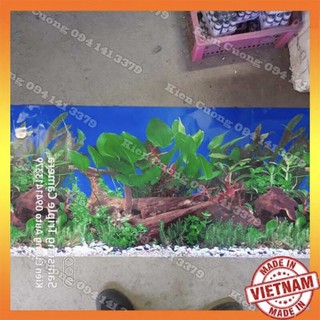 Tranh bể cá cảnh cao 40cm 50cm