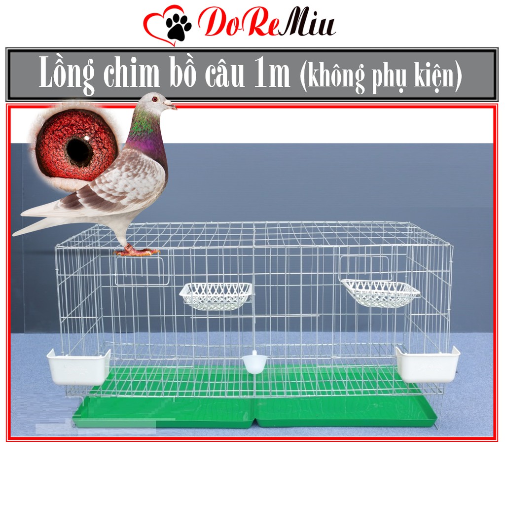 Doremiu- Lồng chim bồ câu loại 1 mét bằng kẽm loại tốt chuồng nuôi bồ câu công nghiệp bồ câu pháp