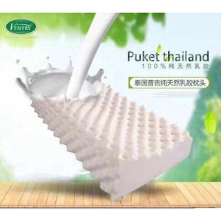Gối cao su non Thái Lan