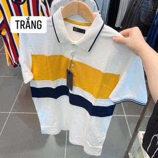 ÁO POLO NAM PHÔI VÀNG