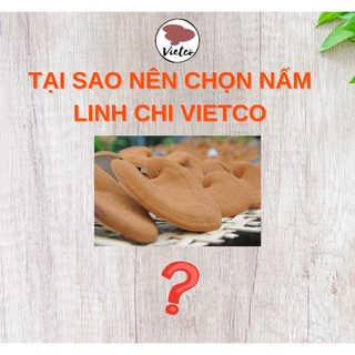 Nấm Linh Chi Đỏ Thái Lát - Hồng Chi (Còn Nguyên Bào Tử)