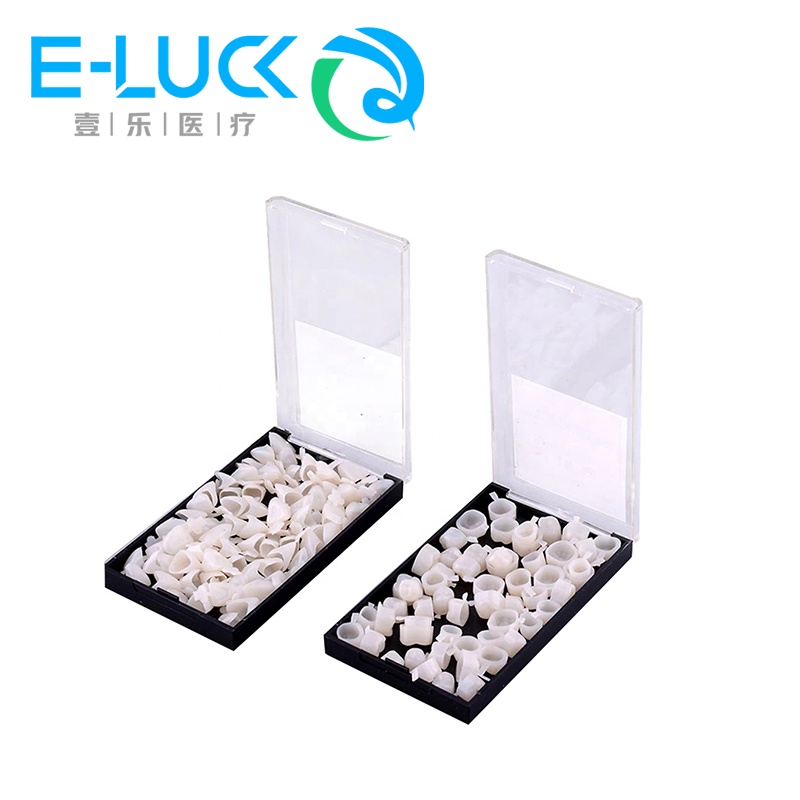 Hàm răng giả bằng nhựa Resin chuyên dụng cho nha khoa