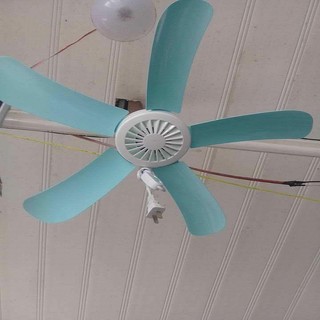 Quạt treo trần Mini 5 cánh (Trắng phối xanh)