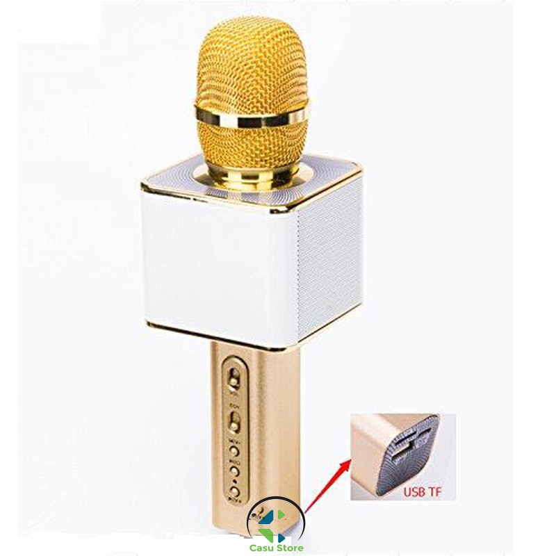 Mic karaoke YS10