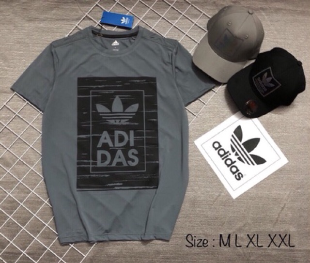 ALBUM 100 - ÁO THUN VNXK THỂ THAO CAO CẤP NHIỀU MÀU | BigBuy360 - bigbuy360.vn