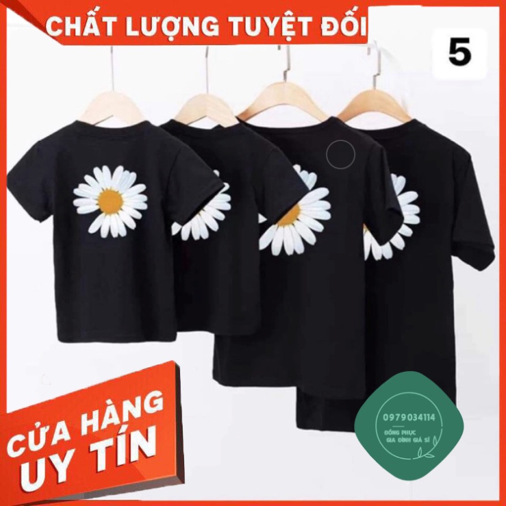 Áo thun giá sỉ Áo gia đình Hoa cúc đẹp thun cotton loại 1 đủ màu, size 6-110kg