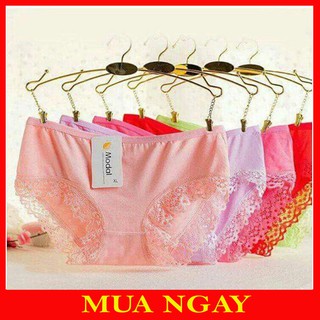 Sét 10 quần lót viền ren modal thông thoáng