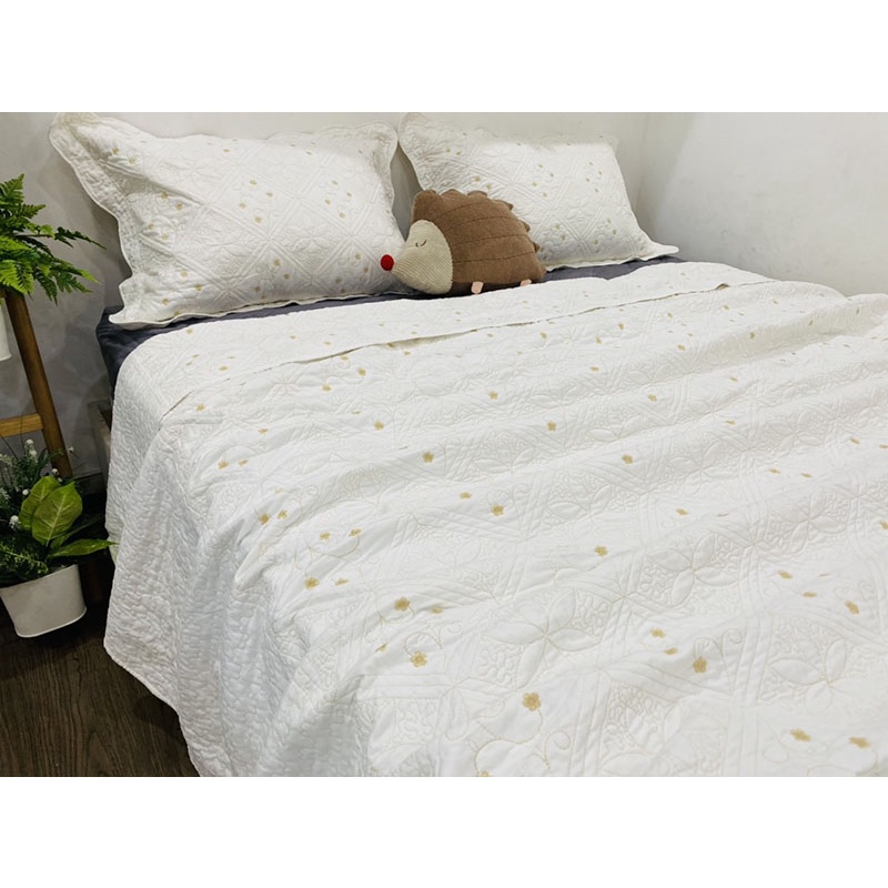 Chăn bộ cotton 250x250cm