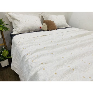 Chăn bộ cotton 250x250cm