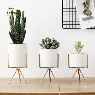 Chậu sứ trắng trồng cây kèm giá đỡ bằng sắt trang trí nhà