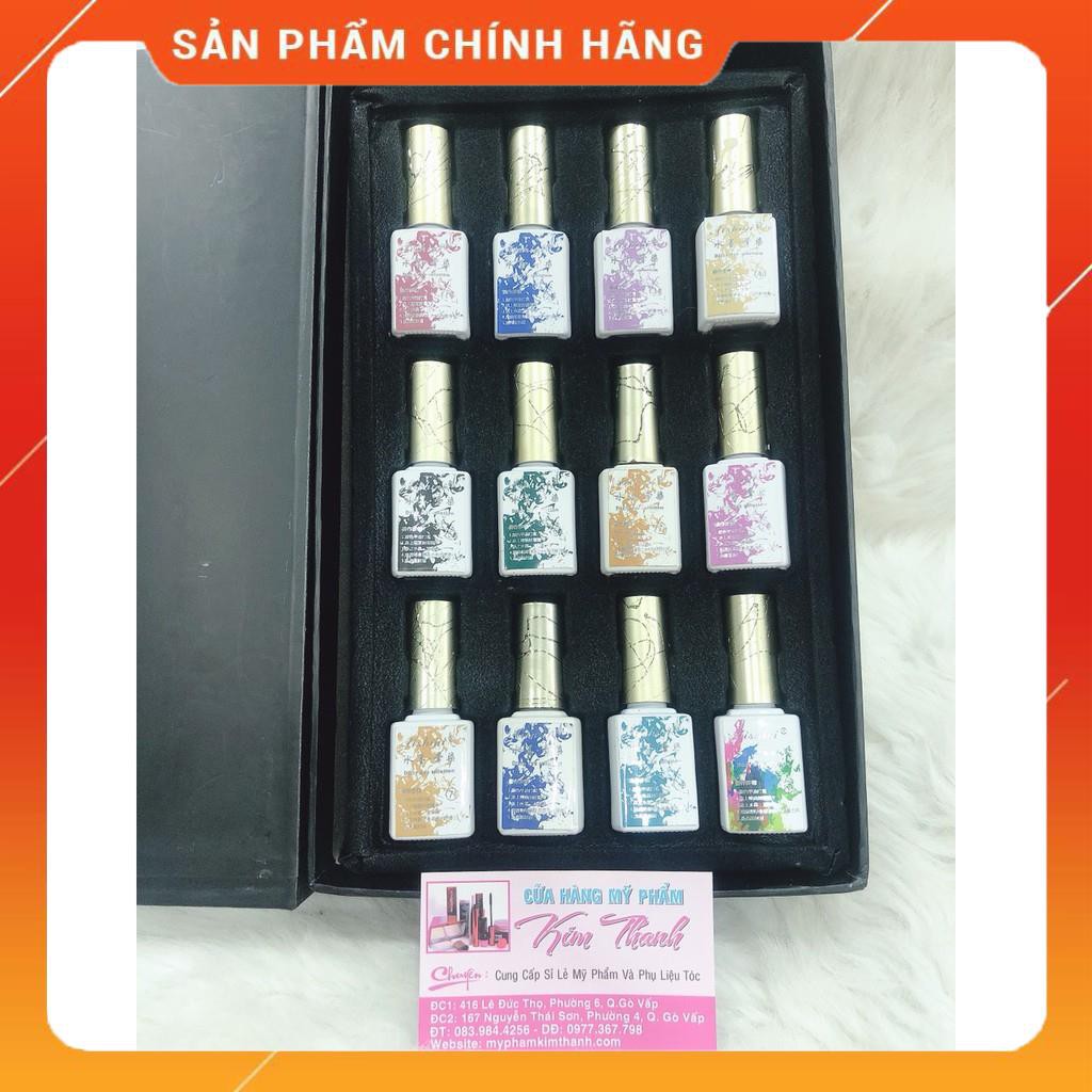 Sét Gel Loang Aishini 12 Màu Loang Đẹp Quyến Rũ - 1 Bộ