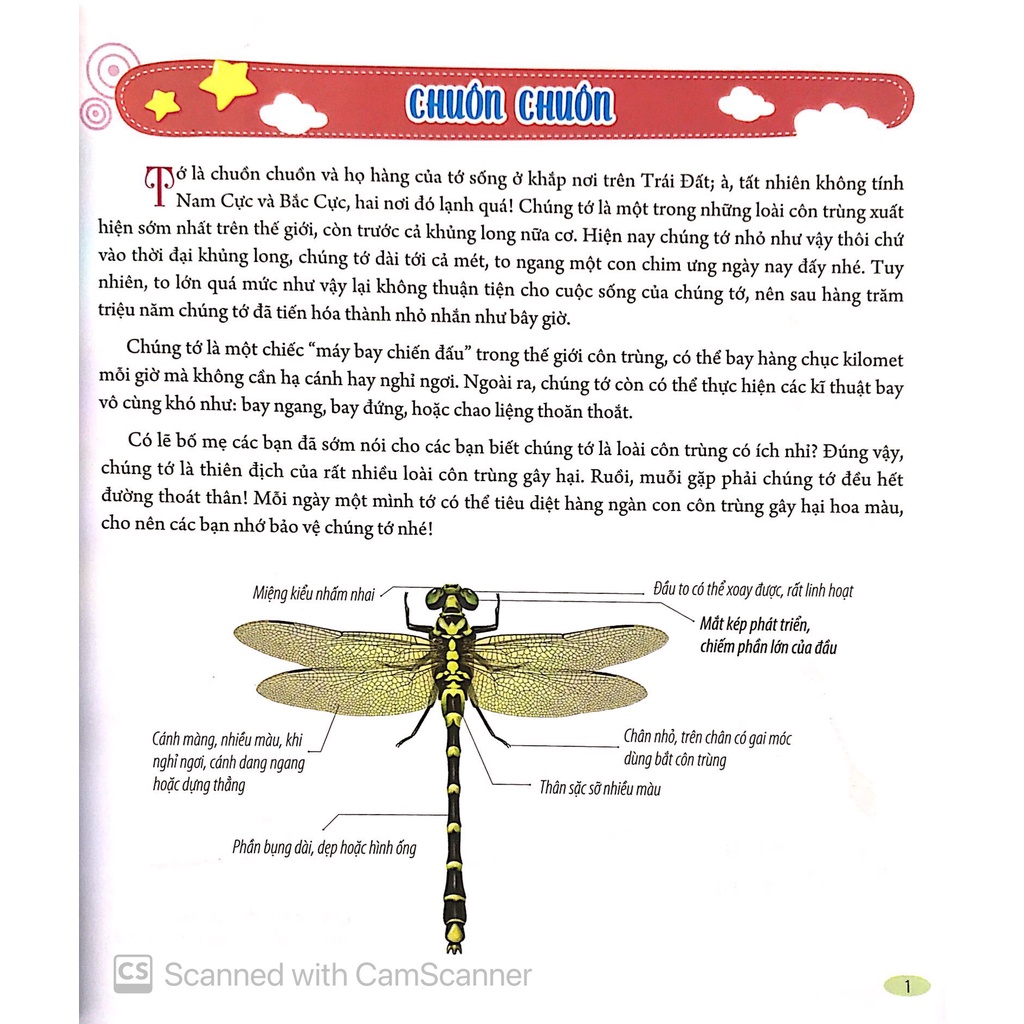 Sách: Bách Khoa Động Vật Dành Cho Trẻ Nhỏ - Động Vật Tiền Sử +Khủng Long +Côn Trùng +Thú Cưng (Phân Loại Tùy Chọn)