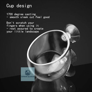 Cốc trồng cây thủy sinh chất liệu thủy tinh