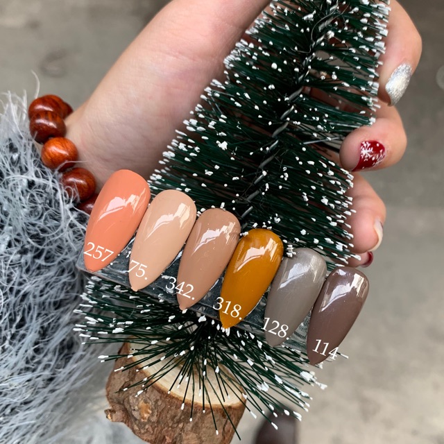 Sơn BNS NEW COLOR  Chọn màu INBOX