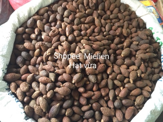 Hạt đười ươi Phan Rang loại 1 500g
