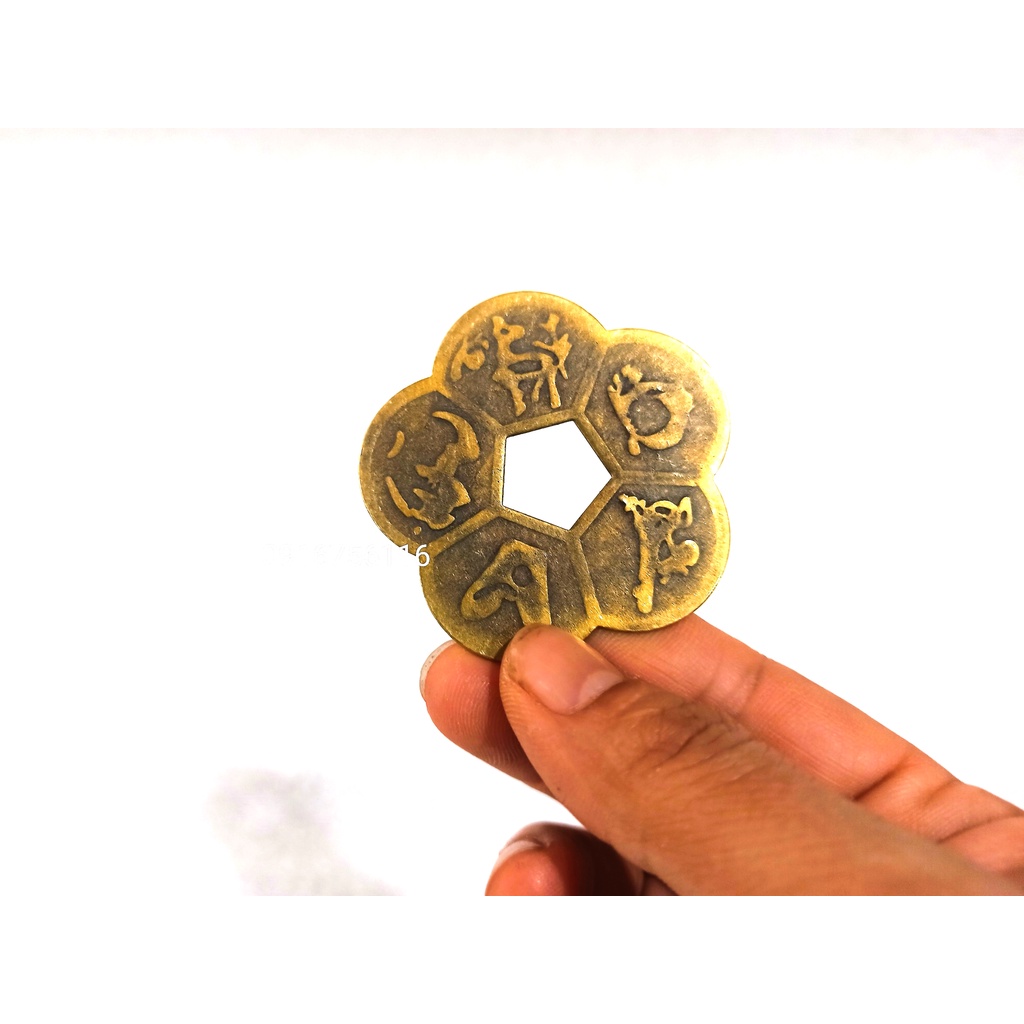 Đồng Hoa Mai năm cánh cỡ to