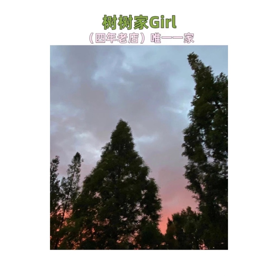 Áo Thun polo Phong Cách Harajuku BF Harajuku Retro Thoải Mái Và Thoải Mái Cho Nữ