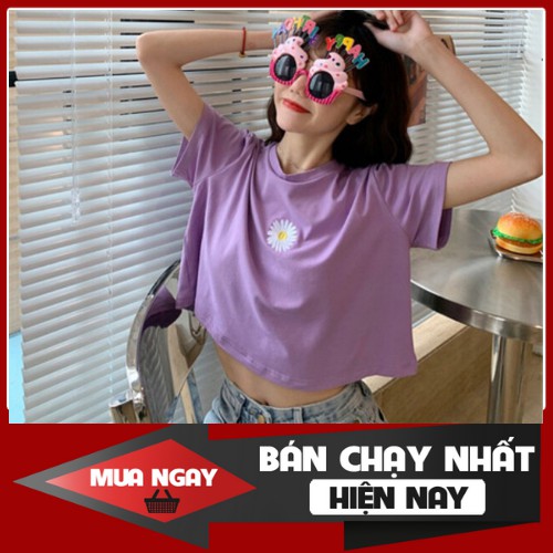 ÁO THUN NỮ CROPTOP TAY NGẮN CỔ TRÒN THÊU HÌNH BÔNG CÚC NHỎ XINH XẮN KIỂU HÀN 2020 PF309A | BigBuy360 - bigbuy360.vn