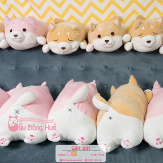 Chó bông Shiba inu