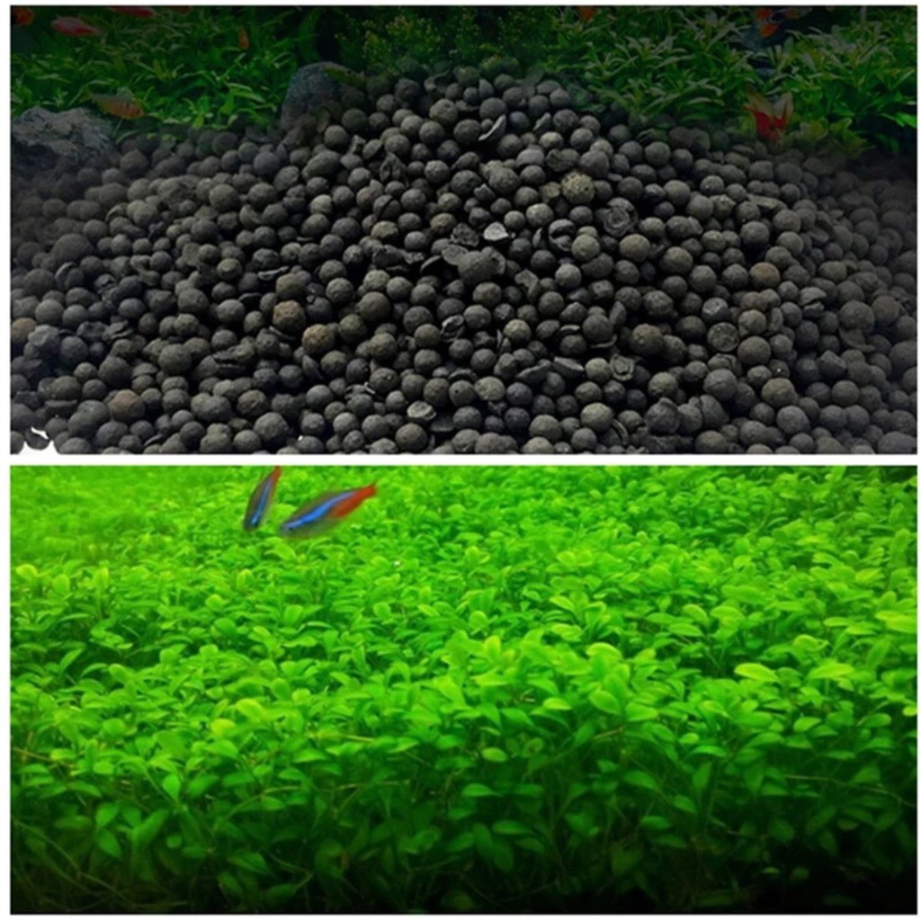 Combo 1000gram phân nền thủy sinh và hạt giống cỏ thủy sinh