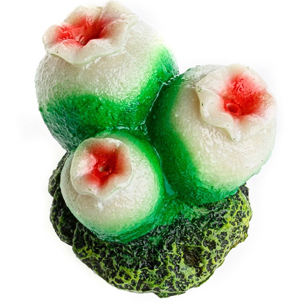 Đồ chơi san hô/ vỏ sò thổi bong bóng bơm oxy trang trí bể cá