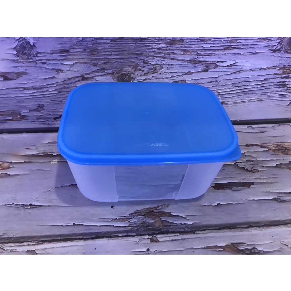 Hộp trữ đông 650ml Tupperware - Hộp bảo quản thực phẩm dành riêng cho ngăn đông tủ lạnh