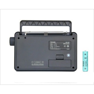 Radio Tecsun RP-307