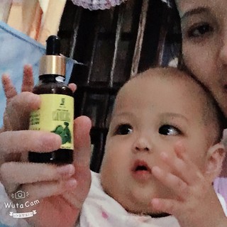 dầu húng chanh MiNiON