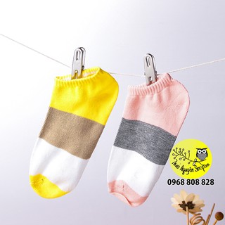 Combo 5 đôi tất nữ Muji