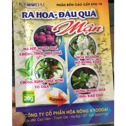 Ra hoa- đậu quả Mận