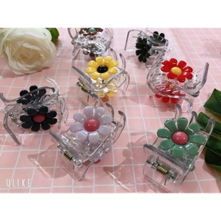 KẸP CÀNG CUA 5 RĂNG TRONG SUỐT IN HÌNH TRÁI CÂY - HOA SIÊU XINH