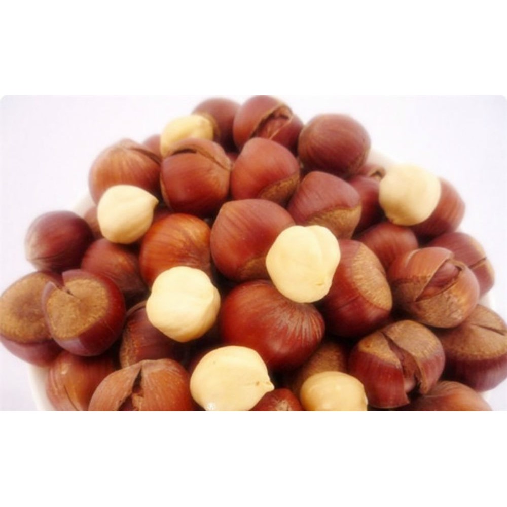 Nhân quả phỉ nguyên vỏ lụa Whole Hazelnut TURKEY 1000gr