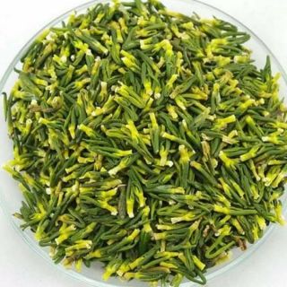 HẠT SEN TƯƠI HỘI AN
