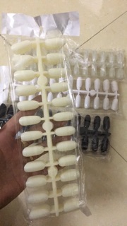 Móng Mẫu Tròn 240 móng