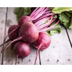 Hạt giống củ dền F1 ( củ cải đường ) Loại dễ trồng dễ thu hoạch kháng sâu bệnh tốt [ Gói 50gram,100gram,200gram]