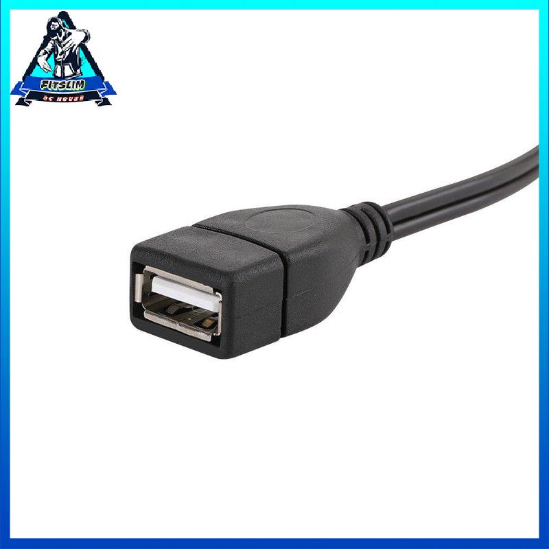 [Fitslim] 1.5m/5ft USB A Female Sockrt To 2 RCA Male Plug Audio Video Extension Cable