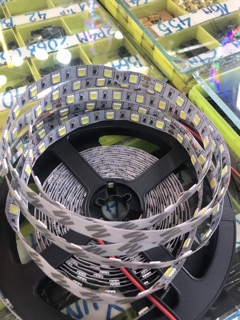 Led quận 5050 24v 5m