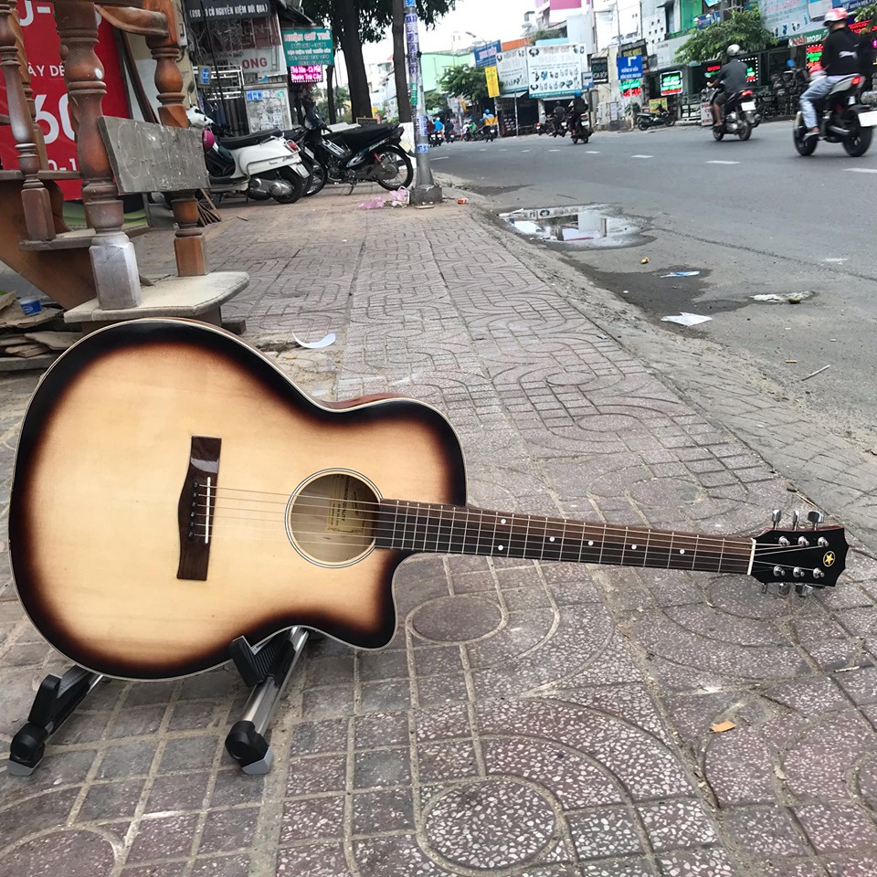 Đàn Guitar Acoustic Mặt Gỗ Thông Tự nhiên có ty E-75S