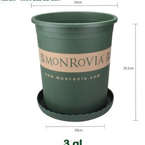 Set 02 Chậu Monrovia số 3 - 3GL Tặng Kèm đĩa lót