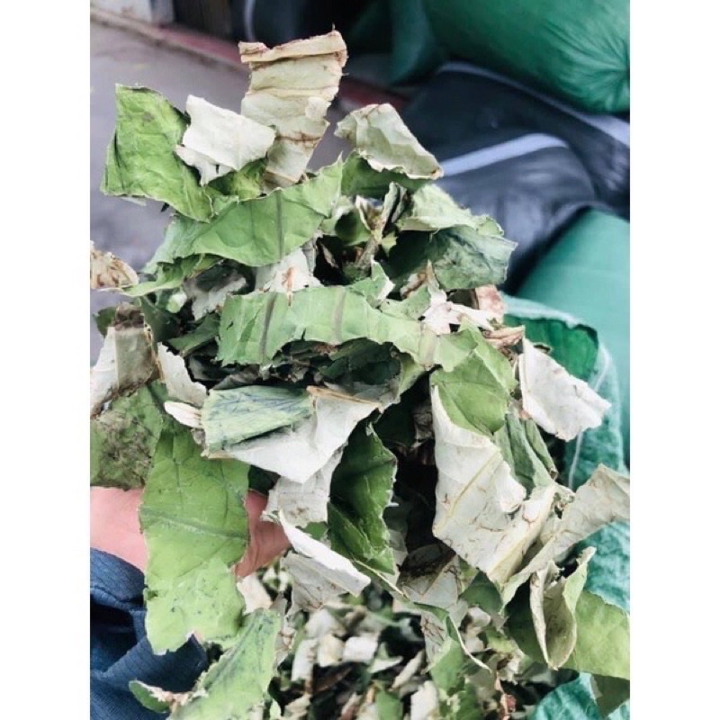 Trà LÁ SEN Hoà Bình hỗ trợ giảm cân, mỡ máu, ngủ ngon, ổn định huyết áp