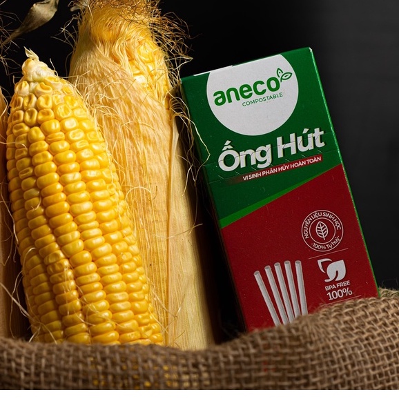 Túi 50 ống hút có bọc giấy đường kính 6mm phân hủy hoàn toàn AnEco