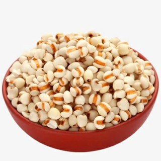 Hạt bo bo (hạt ý dĩ)