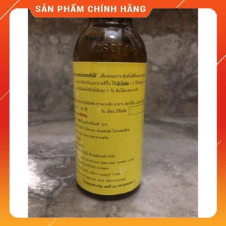 Kích rễ Thái cực mạnh - Exotic.