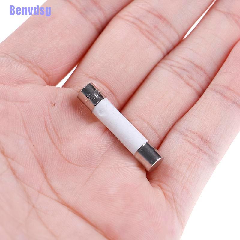 Bộ 10 Cầu Chì Sứ 20A 250V 6X30Mm Cho Lò Vi Sóng