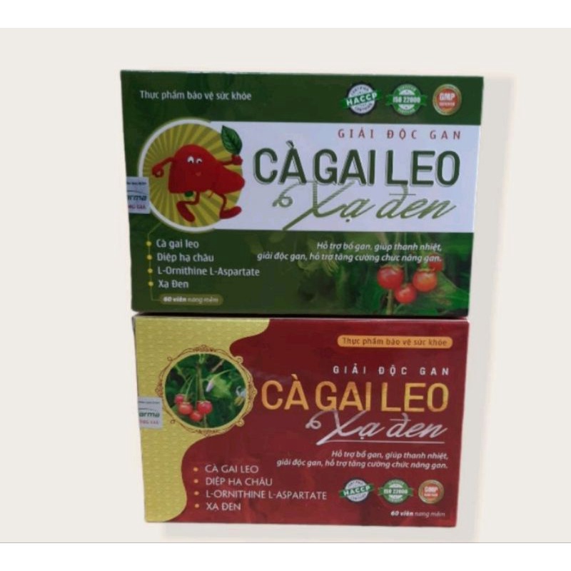 《Date 2025-hộp 60 viên》0Giải độc gan CÀ GAI LEO XẠ ĐEN , Bổ gan cà gai leo giúp mát gan,hạ men gan